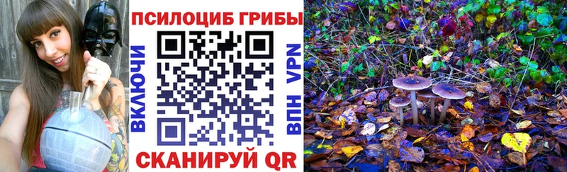 Галлюциногенные грибы мицелий  darknet состав  Лесосибирск 