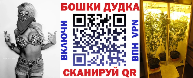 Бошки марихуана SATIVA & INDICA  блэк спрут ссылка  Лесосибирск  купить  сайты 